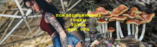 гашиш Абинск